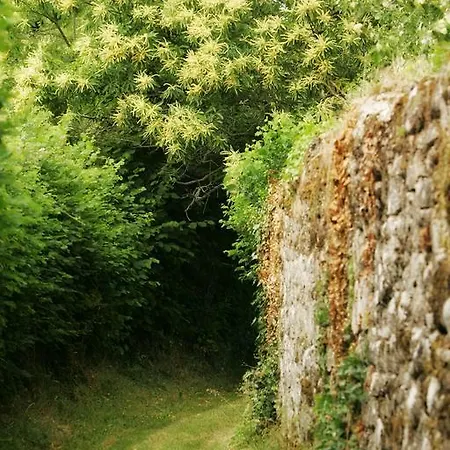 Beausejour 3* Calvinet